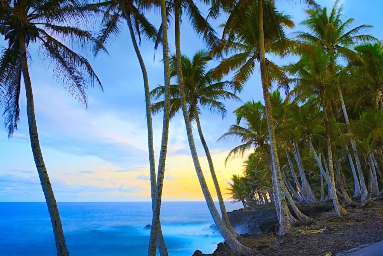 Ocean View Mauna Loa Shores Kai Ekahi #201 Next To Carlsmith Beach Park Hilo Hi Luaran gambar