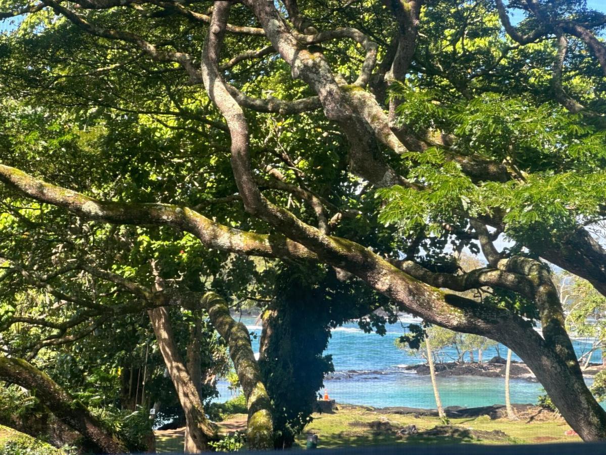 Ocean View Mauna Loa Shores Kai Ekahi #201 Next To Carlsmith Beach Park Hilo Hi Luaran gambar